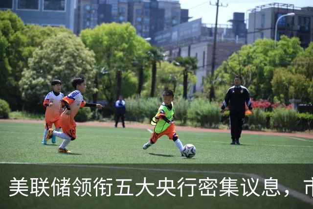 美联储领衔五大央行密集议息，市场预期10月按兵不动而12月加息概率升至近75%，南方基金司南投顾重视海外利率路径的重新定价