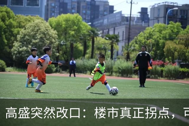 高盛突然改口：楼市真正拐点，可能在2030年之后，信号太强了！