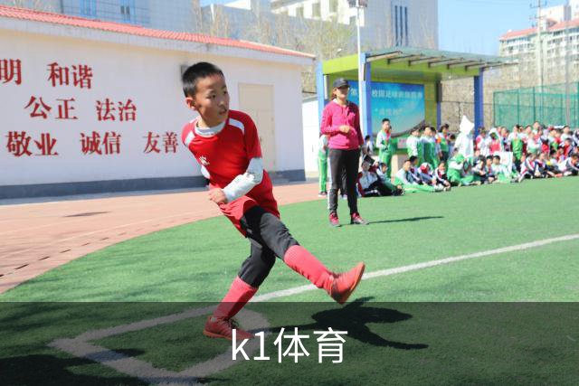 k1体育公司简介